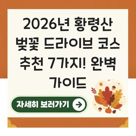황령산 벚꽃 드라이브 코스 추천