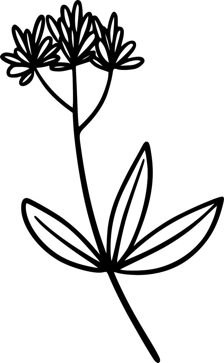 boho new year SVG design of Wildflower path116 for Cricut and Glowforge crafts.