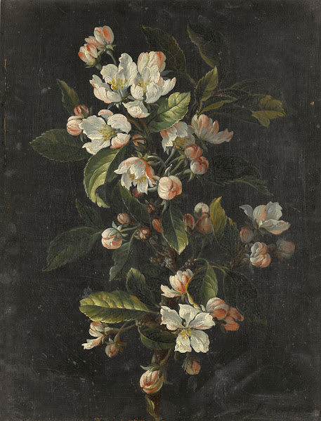Still life oftulips