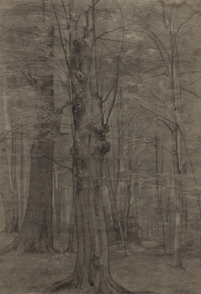 Trees