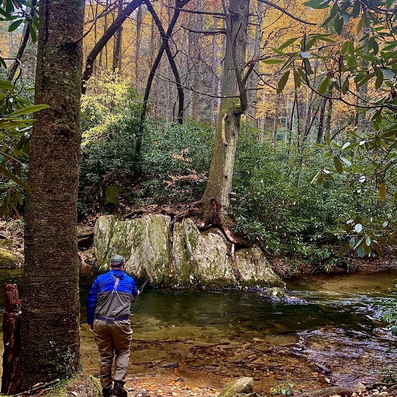 Fly fishing a mountain river near Ellijay, Georgia in the Blue Ridge Mountains
