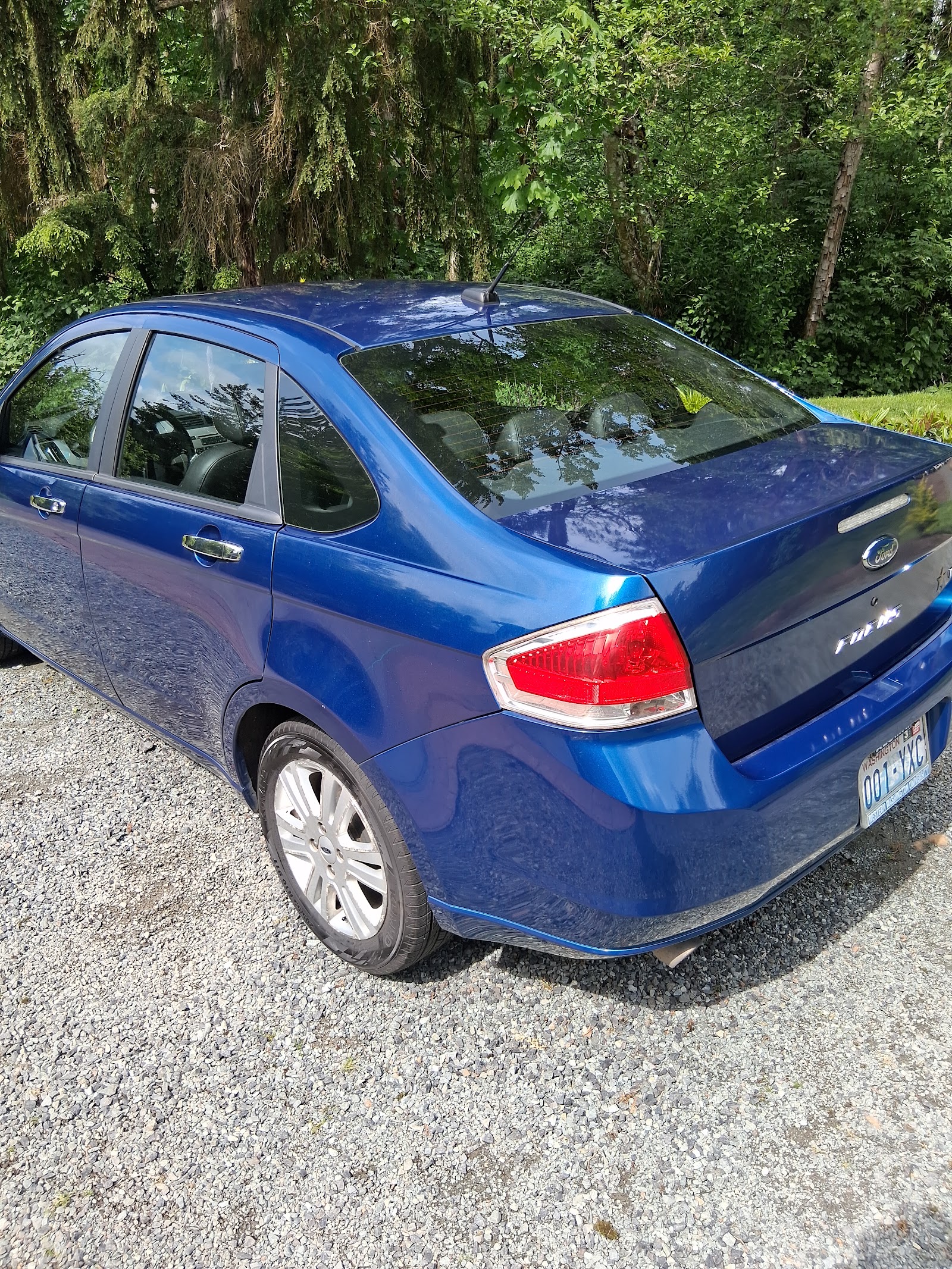 Clean Ford Focus after exterior detailing