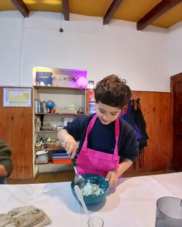 Taller Experimental de Ciencias