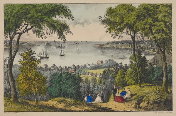 The Narrows New York Bay From Staten Island 1801   1900