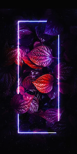 Purple, Magenta, Art, Window 5K iPhone Wallpaper Background
