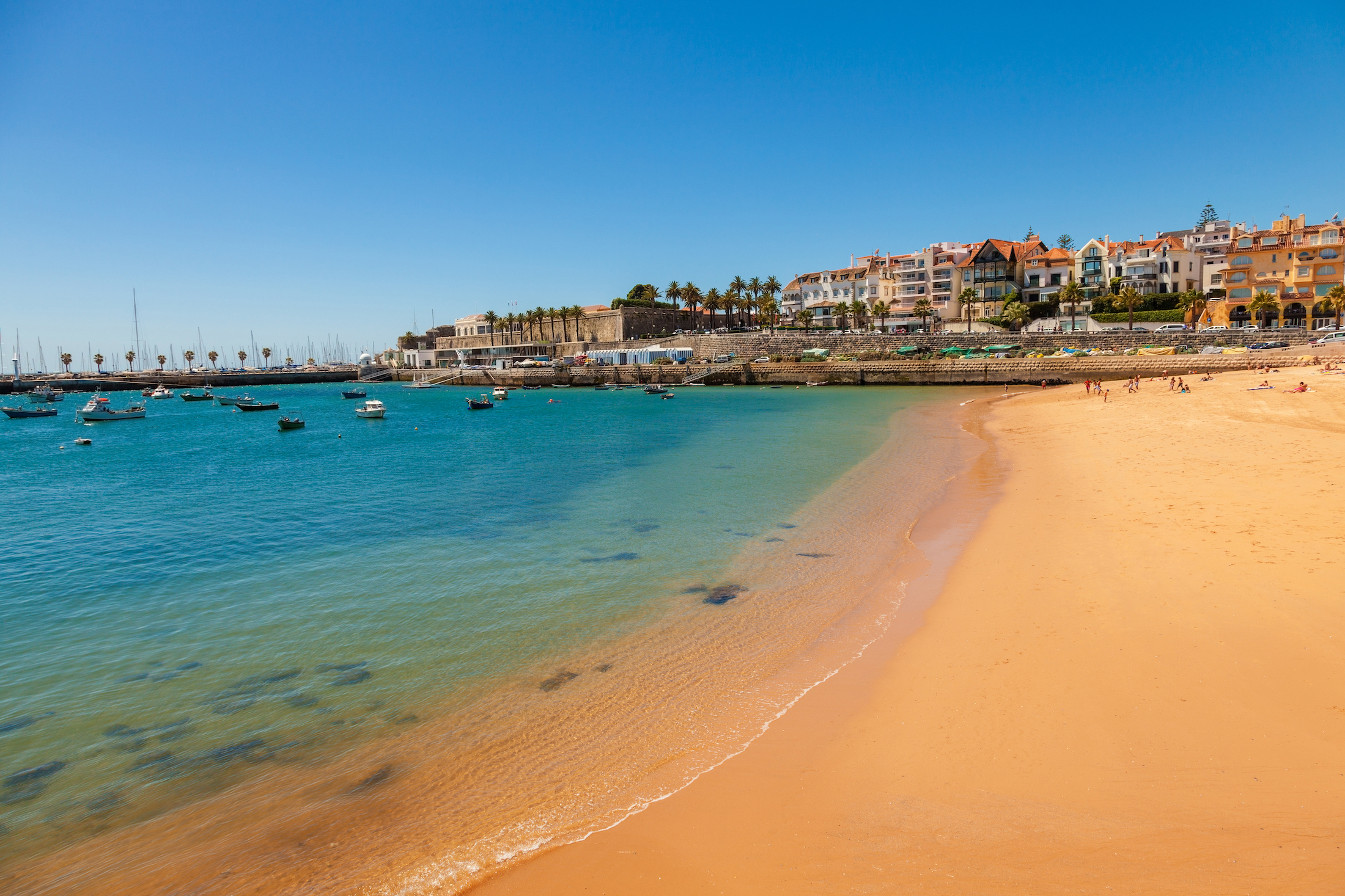 6-Day Portugal Couple's Journey, Porto to Lisbon
