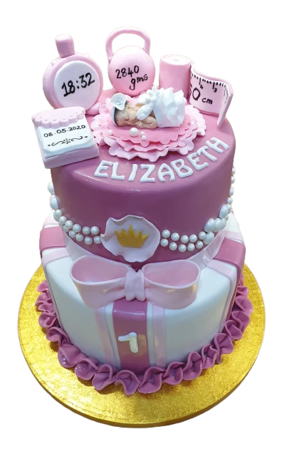 First Birthday Icing Cake CB-NC373