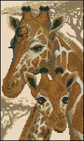 CMP 400314 Giraffes