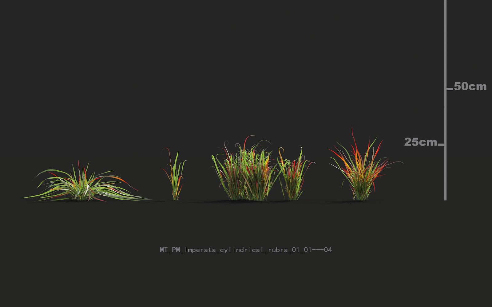 Maxtree - Plant Models Vol.20