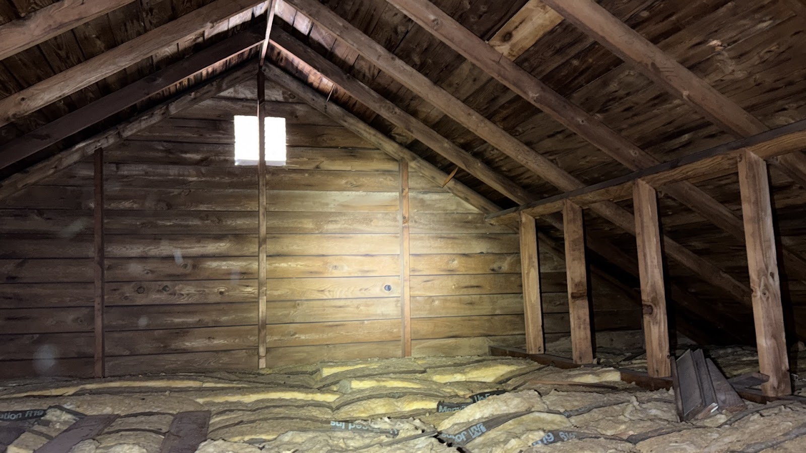 Copy of IMG_2026-03-13_14-12-43_912.jpg