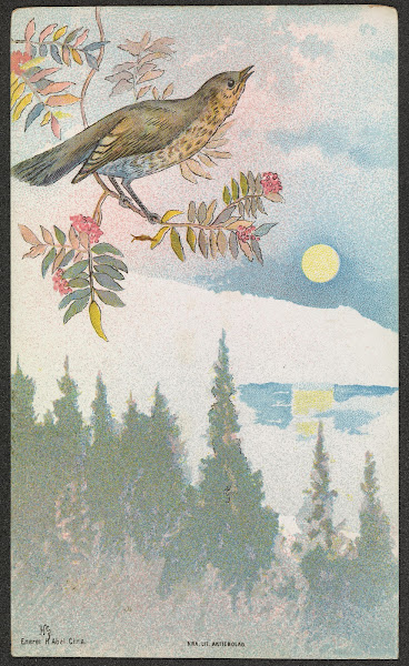 Bird motif