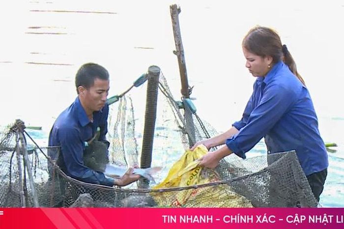 Nông dân Can Lộc làm giàu từ nuôi trồng thủy sản nước ngọt - Báo Hà Tĩnh