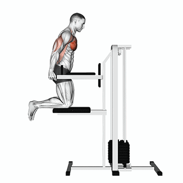 Assisted Chest Dip