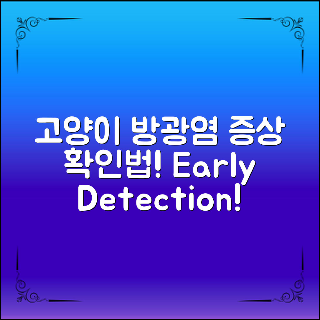 고양이방광염 증상, 조기 발견 포인트!