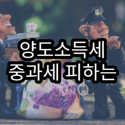 양도소득세 중과세 피하는 법