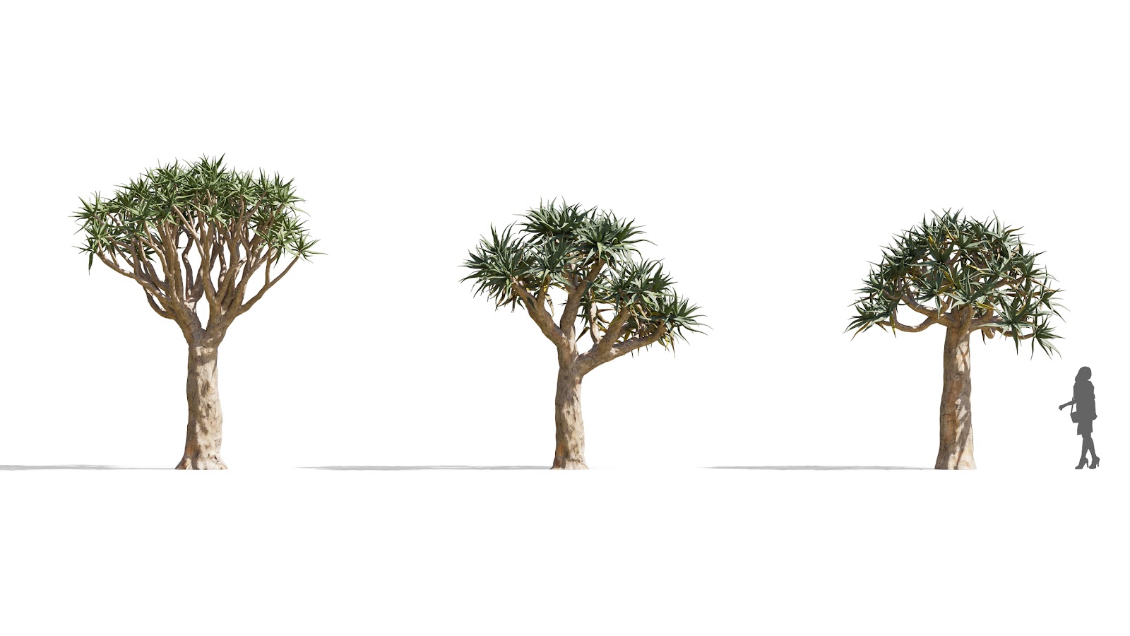Maxtree - Plant Models Vol.73