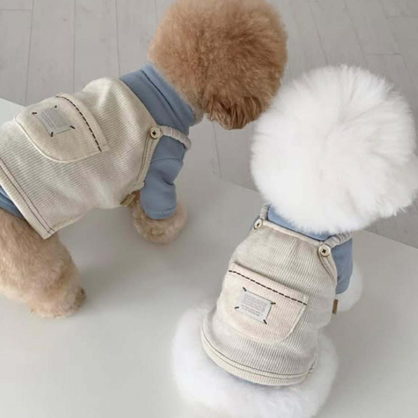 Dog strap dress made of corduroy, with pocket