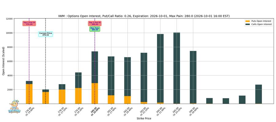 IWM Options