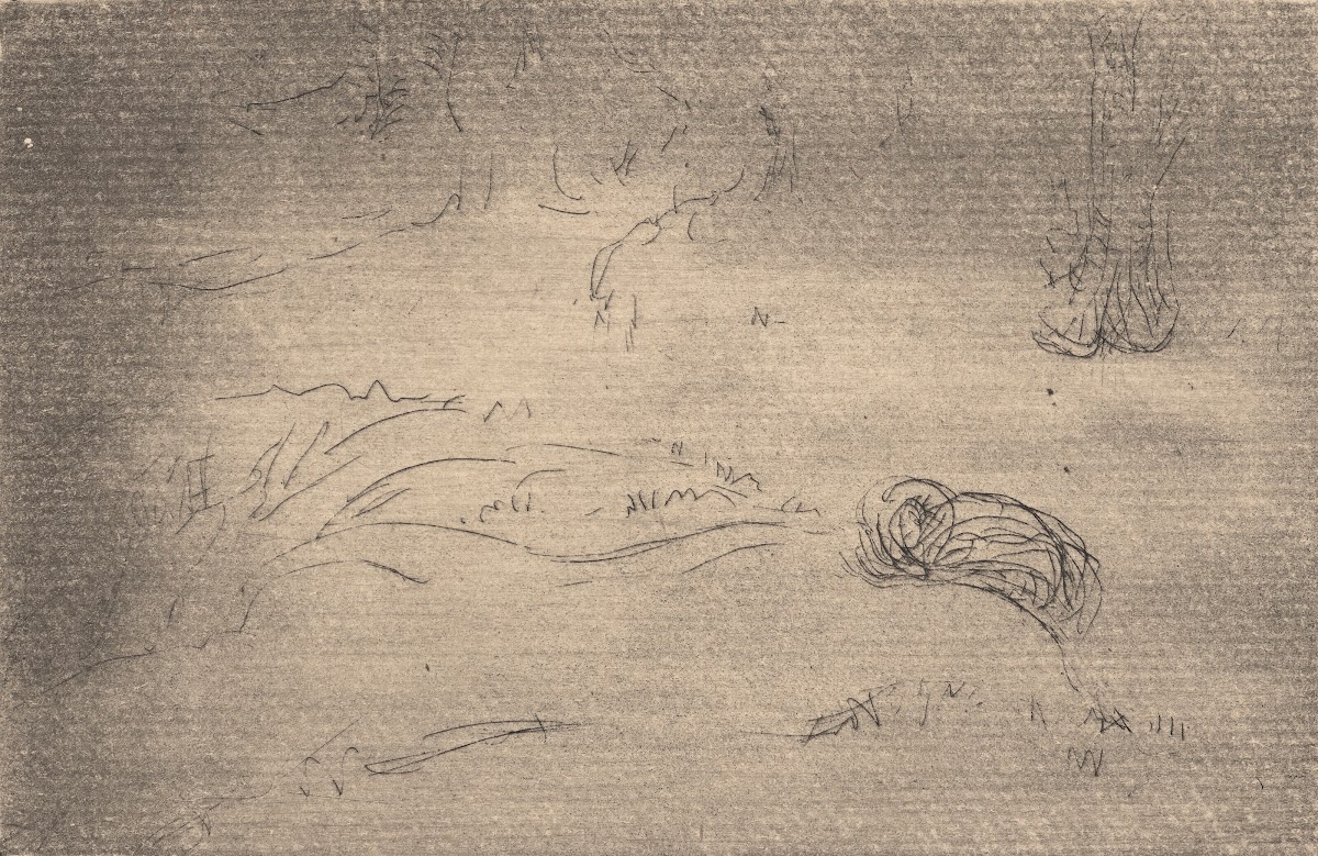 Nu couché dans un paysage 1895