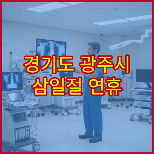 경기도 광주시 삼일절 연휴 진료 병원 안내, 대체공휴일 운영 시간 확인
