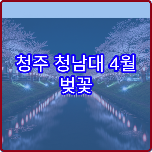 청주 청남대 4월 벚꽃 평일 점심시간 방문 최적 루트 정리