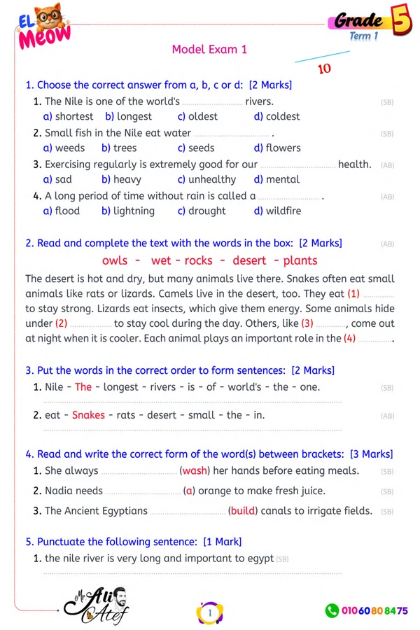 نماذج امتحانات شهر أكتوبر إنجليزي للصف الخامس الابتدائي الترم الأول 2027 PDF
