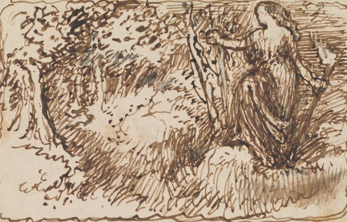 A Woodland Nymph