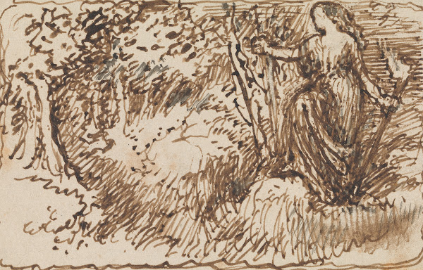 A Woodland Nymph