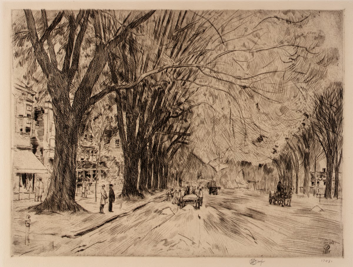 Easthampton Elms in May 1925