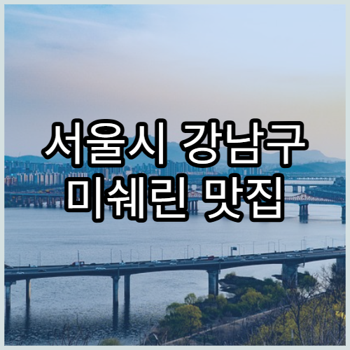 서울시 강남구 미쉐린 맛집 리스트 2025