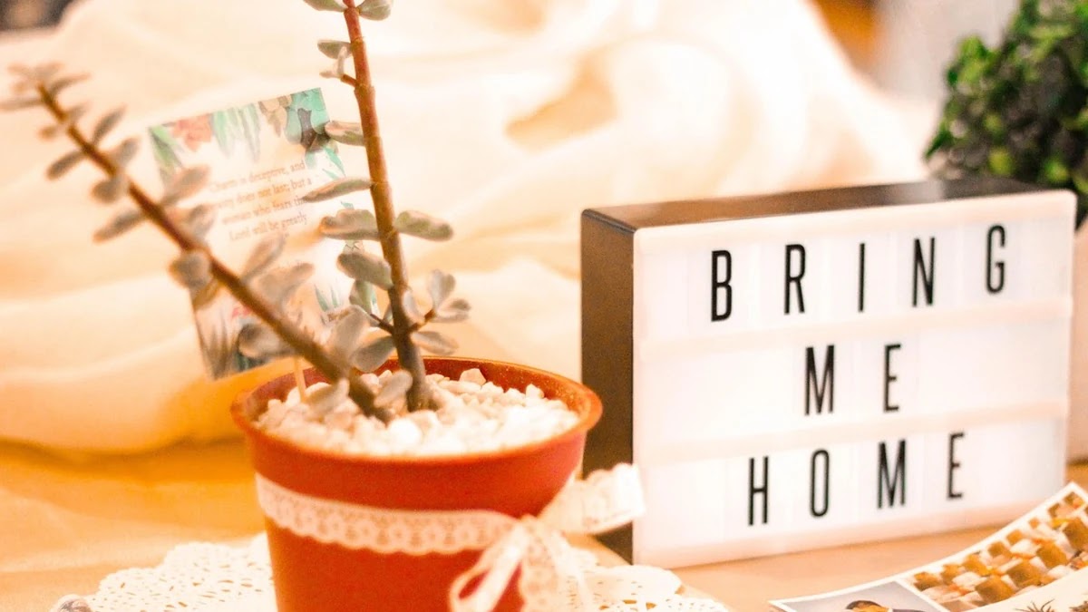 에어비앤비와 호텔, 여행목적별 숙소 선택 기준과 비용 비교