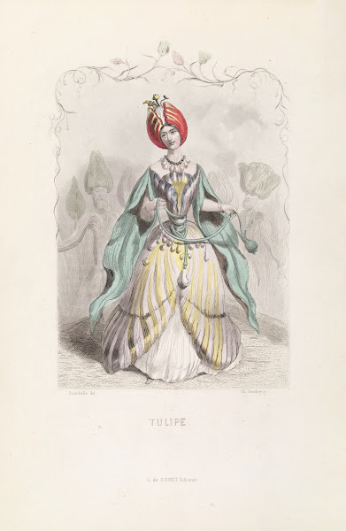 Tulipe 1840s