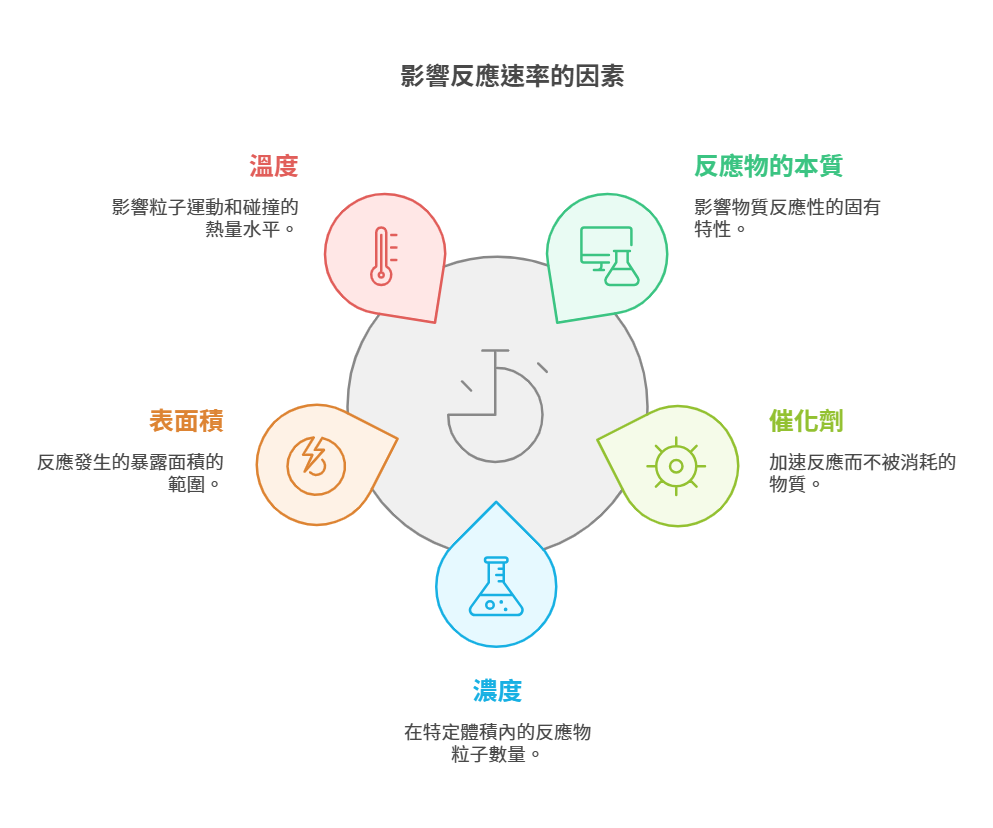 反應速率的影響因素