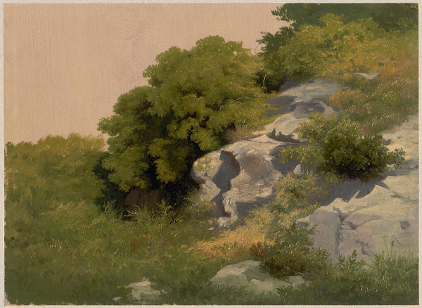Rocks overgrown with lush vegetation 1853   1880