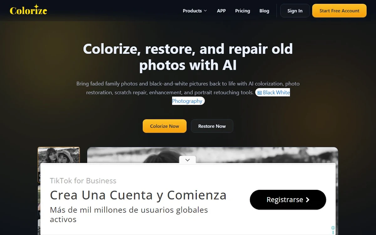 Captura de Image Colorizer