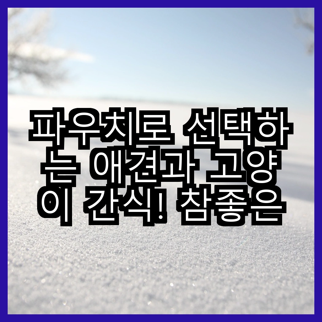 파우치로 선택하는 애견과 고양이 간식! 참좋은간식 vs 쉬바, 어떤 차이가 있을까? 썸네일