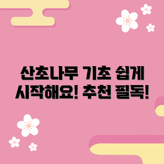 산초나무, 산초나무 재배, 산초나무 효능, 산초나무 가드닝, 산초나무 기초 지식