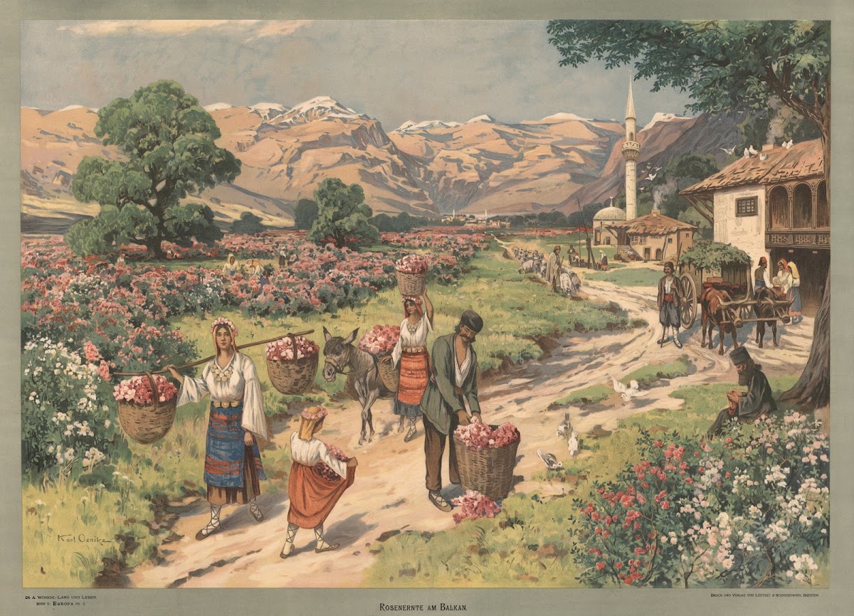 Europa  Rosenernte am Balkan 1907