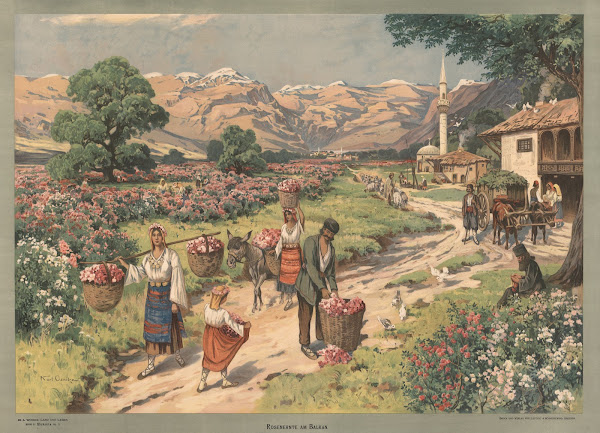 Europa  Rosenernte am Balkan 1907