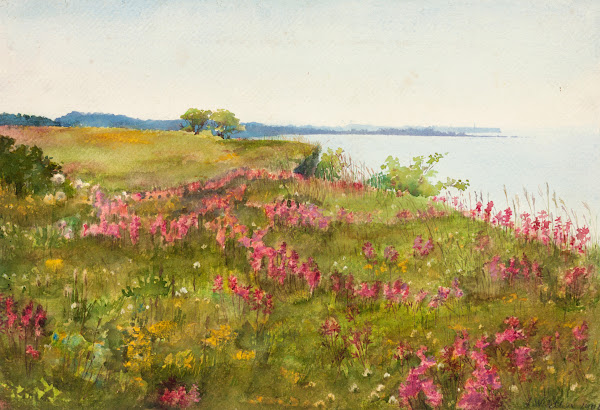 Maastik õitsev aas 1906