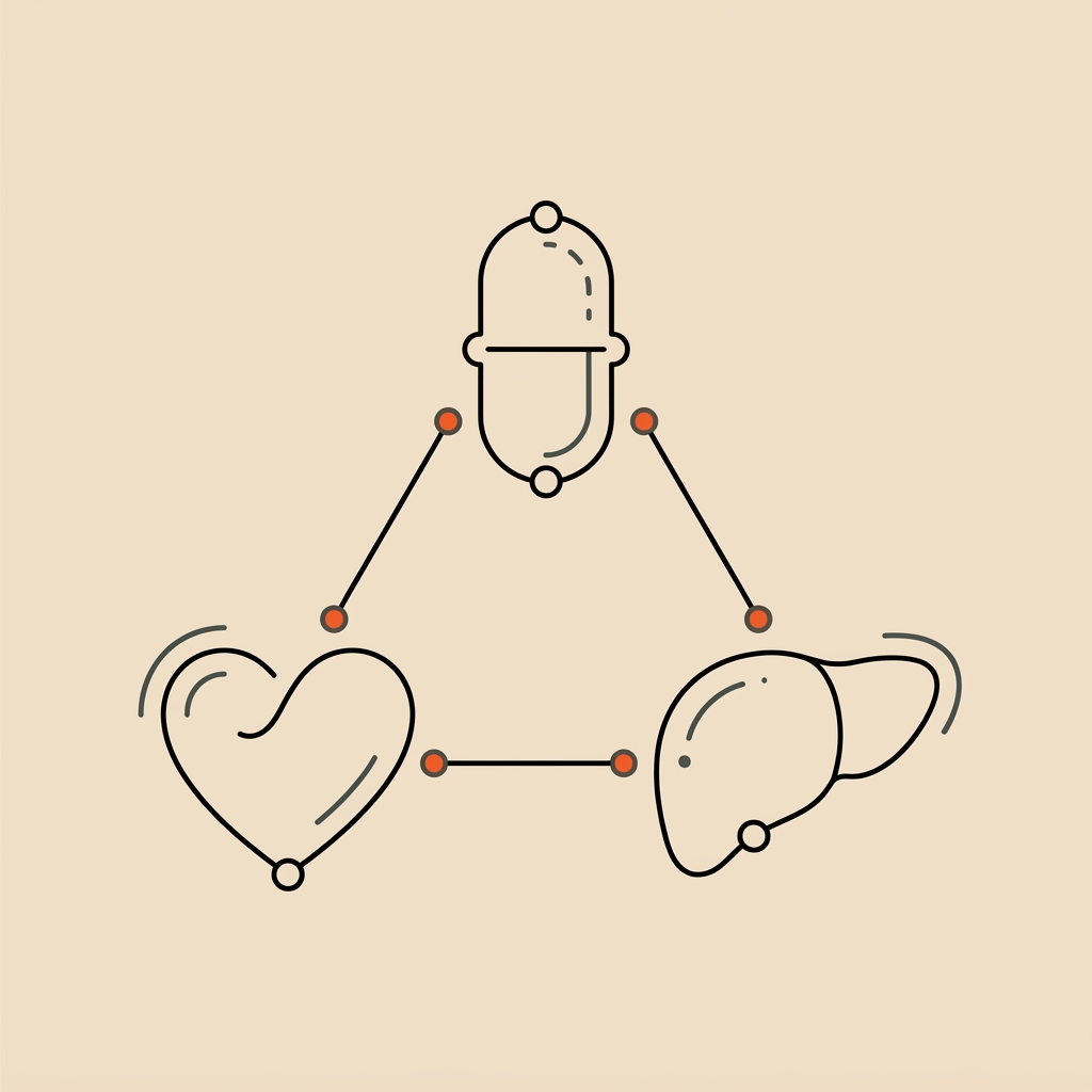 Minimalist 2D vector line illustration of an abstract capsule a simplified heart and a liver connected by thin lines representing amyloid organ interactions on a beige background