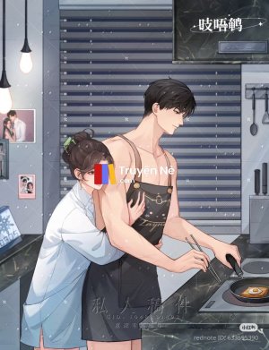 Khi Nữ Phụ Gặp Nam Chính