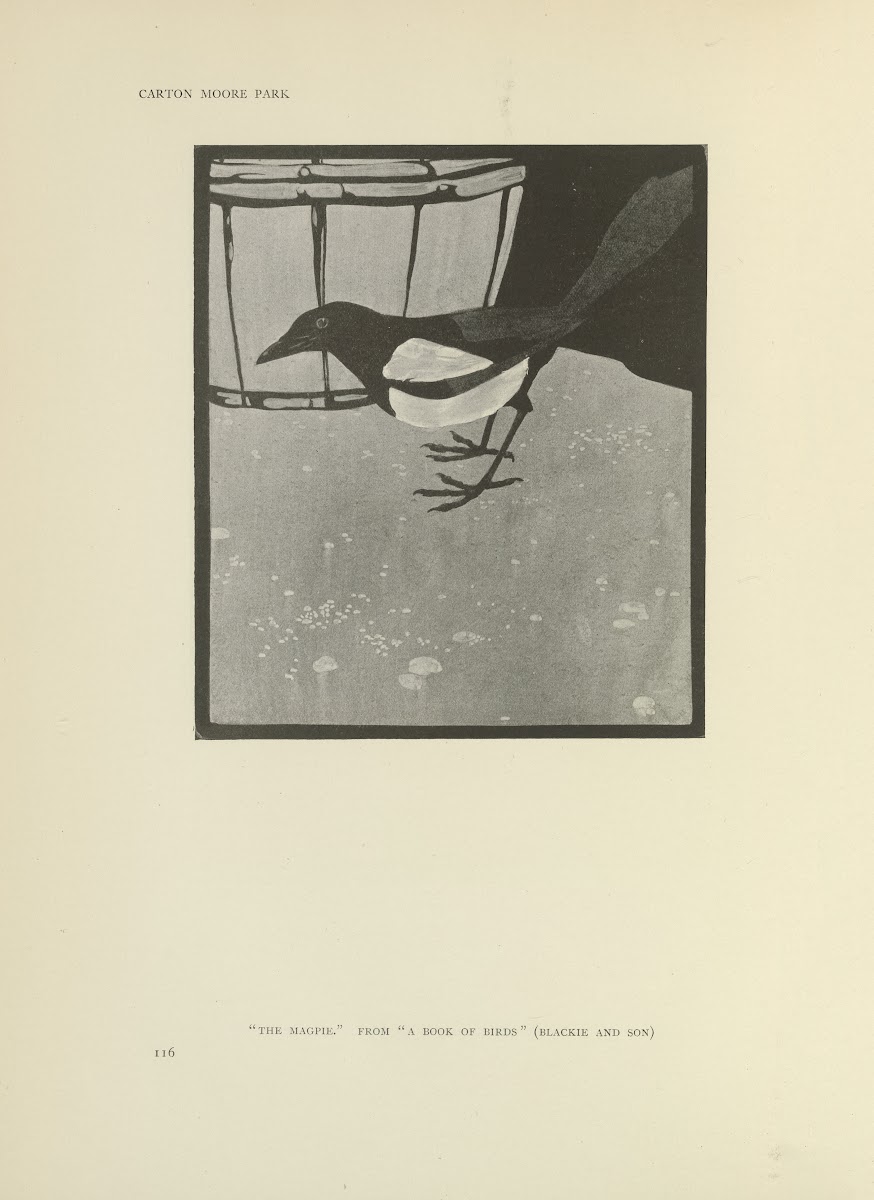 The magpie  A book of birds 1914