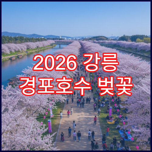 2026 강릉 경포호수 벚꽃 자전거 렌탈 가격 실시간 비교
