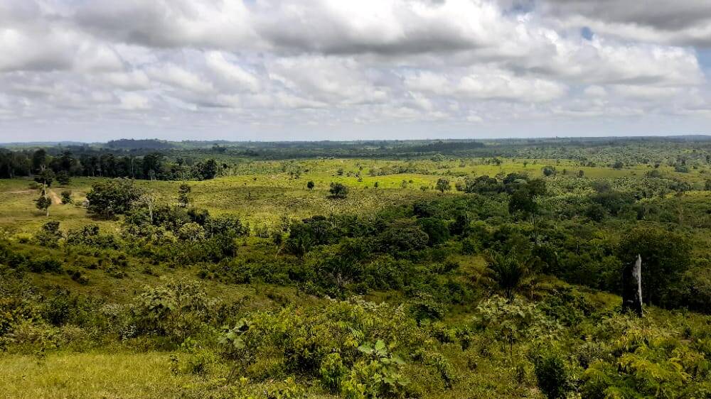 Fazenda no Município de Breu Branco - PA 2