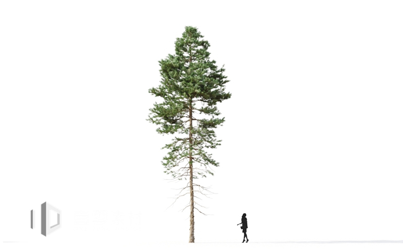 Maxtree - Plant Models Vol.9