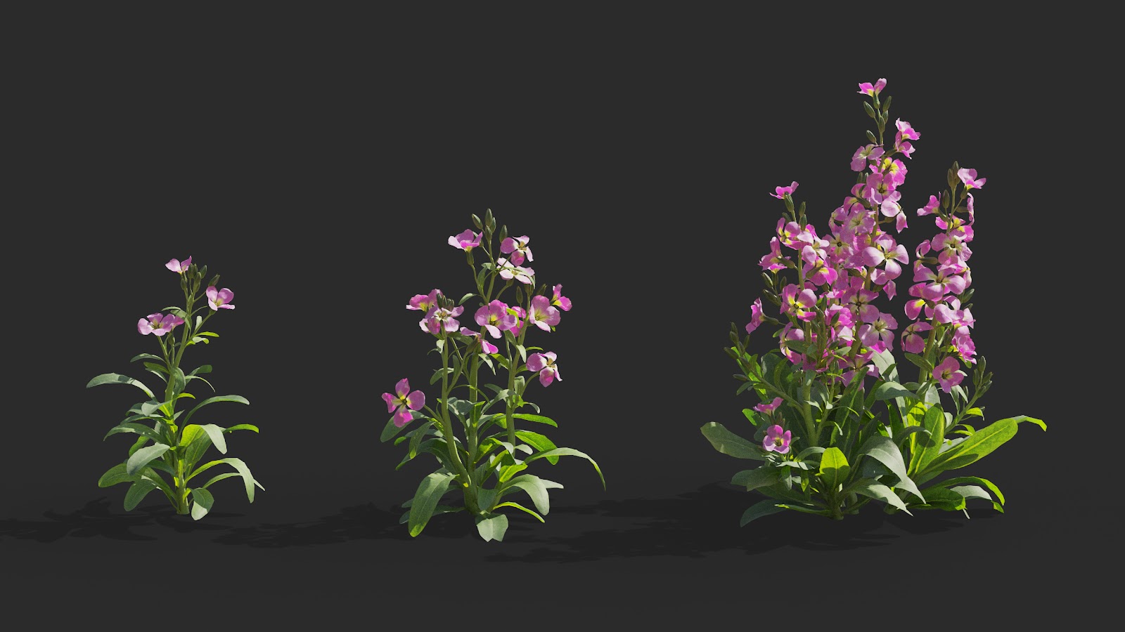 Maxtree - Plant Models Vol.64