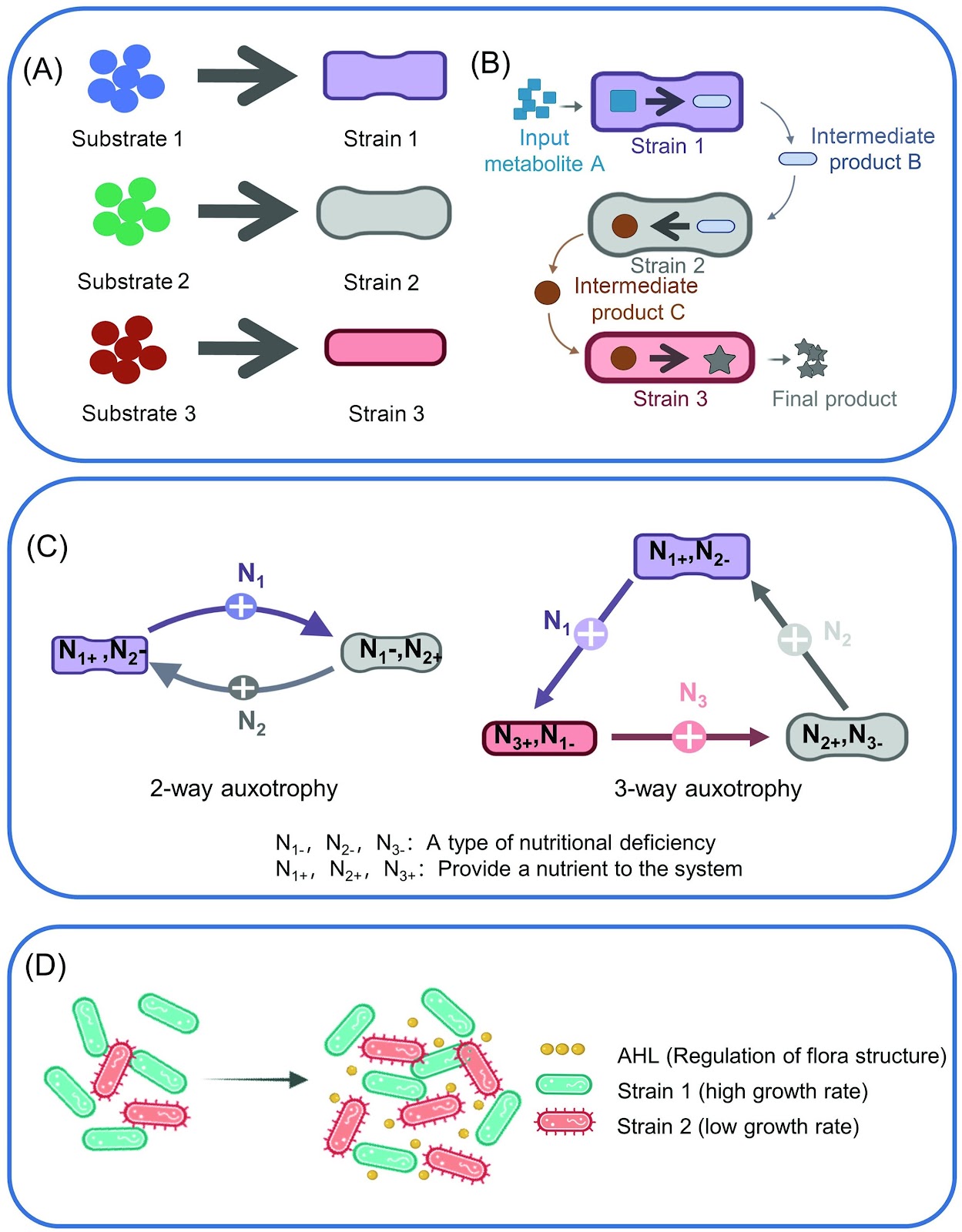 Insights into constructing a stable and efficient microbial consortium system
