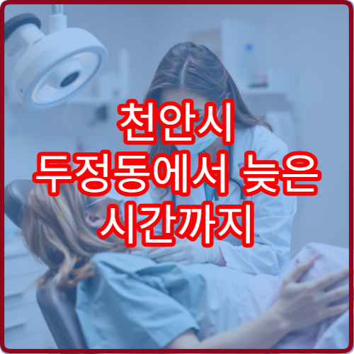 천안시 두정동에서 늦은 시간까지 진료하는 산부인과 야간진료 병원 안내