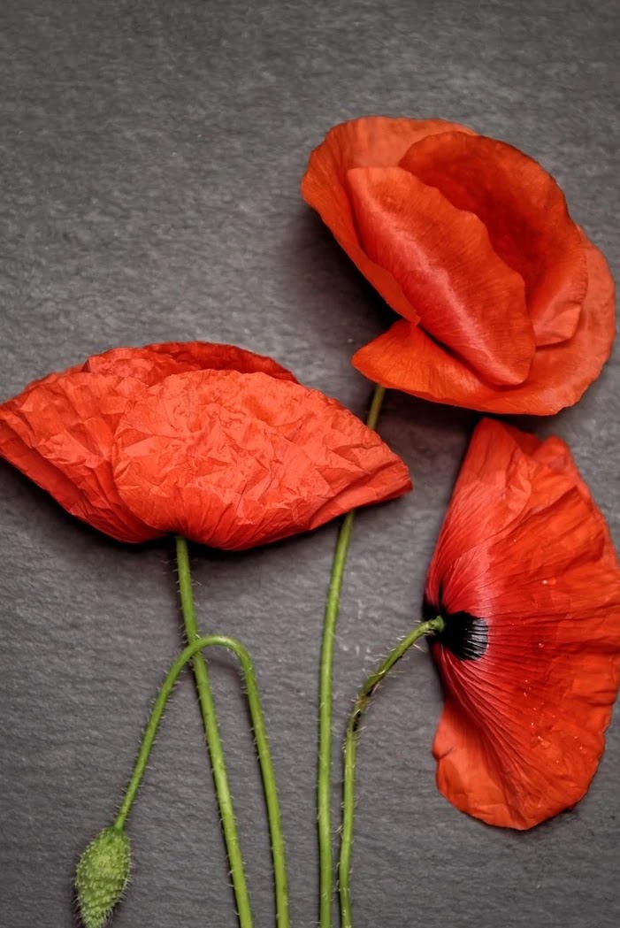 환헤지 상품별 특징과 장단점